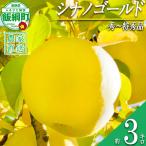 りんご シナノゴールド 秀 特秀 3kg