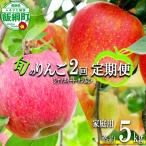 りんご 旬の甘味りんご シナノスイート サンふじ 5kg