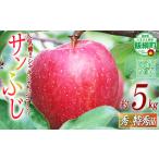 りんご サンふじ 秀 特秀 5kg