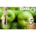 ふるさと納税 りんご ブラムリー 家庭用 5kg 山岸ファーム 沖縄県への配送不可 2025年8月中旬頃から2025年8月下旬頃まで順次発送予定 令和7年度.. 長野県飯綱町