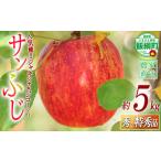 りんご サンふじ 秀 特秀 5kg
