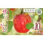 ふるさと納税 りんご サンふじ 秀 〜 特秀 10kg 渡辺農園 2025年12月上旬頃から2026年1月中旬頃まで順次発送予定 令和7年度収穫分 エコファーマ.. 長野県飯綱町