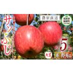 ふるさと納税 りんご サンふじ 秀 〜 特秀 ( 大玉 ) 5kg 渡辺農園 沖縄県への配送不可 2025年12月上旬頃から2026年1月中旬頃まで順次発送予定 令.. 長野県飯綱町