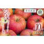 ふるさと納税 りんご シナノスイート 訳あり 10kg 関農園 沖縄県への配送不可 2025年10月上旬頃から2025年10月下旬頃まで順次発送予定 エコファ.. 長野県飯綱町
