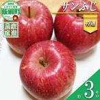 りんご 黄色くシャキシャキりんご シナノゴールド 3kg