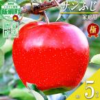 りんご 極み サンふじ 5kg