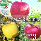 旬の甘いりんご 3kg