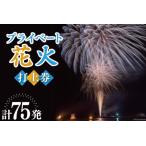 ふるさと納税 プライベート 花火 2号玉