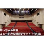 観劇チケット 坊っちゃん劇場 ミュージカル