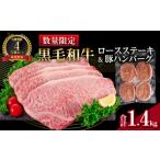 ショッピングふるさと納税 肉 ふるさと納税 【令和6年6月配送】数量限定 黒毛和牛 ロース ステーキ 250g×4枚 豚 ハンバーグ 100g×4個 合計1.4kg 肉 牛 牛肉 国産 ロ.. 宮崎県日南市