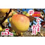 ふるさと納税 訳あり ぐんま名月約5kg 【2026年先行予約】 | ヤマモ農園 長野県松川村