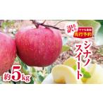 ふるさと納税 訳あり シナノスイート 約5kg 【2025年先行予約】 | ヤマモ農園 長野県松川村