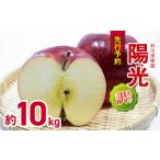 訳あり 陽光 約10kg