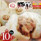 *信州産 辛子味噌豚まん入り 豚まん 4種10個入りセット