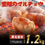黒毛和牛 ホルモン 西京味噌焼き 1.2kg