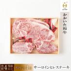 サーロイン ヒレステーキ 計750g