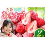 ふるさと納税 いちご 冷凍 完熟 あまおう 2kg いちご [um40azp070000] 福岡県宇美町