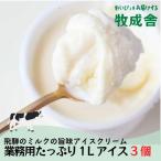 業務用 アイスクリーム 1L×3種