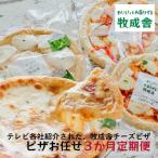 チーズ ピザセット 種類お任せ 定期便 モッツアレラチーズ