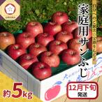 りんご 約5kg