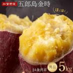 JA 五郎島金時 秀品5kg 加賀の伝統野菜