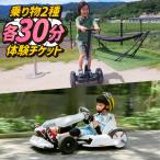 ゴーカート&セグウェイ キックボード ミニカートの中から1…