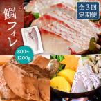 壱岐産 鯛 フィレ 800gから1.2kg