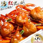 活 紅ズワイガニ 中サイズ 5尾