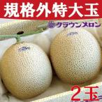 クラウンメロン 規格外特大玉 2玉入