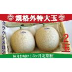 クラウンメロン 規格外特大玉 2玉入