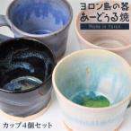 ヨロン島の素材を活かした あーどぅる焼