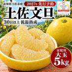 土佐文旦 大玉 5kg