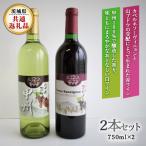 八千代夢ワイン シリーズ ヤマ ソーヴィニョン 赤 きぬ 白 2本 セット