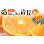 果物 フルーツ みかん オレンジ きよみ 柑橘