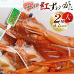 ボイル 紅ズワイガニ 大サイズ 2尾