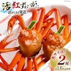 活 紅ズワイガニ 2尾