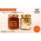 いちじくジャム&特製びわバター 各1個