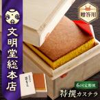 特撰カステラ580g カステラ
