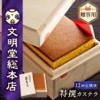 特撰カステラ580g カステラ