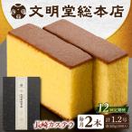 長崎カステラ2本 カステラ