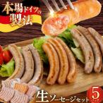 生ソーセージ35本 ウインナー ソーセージ