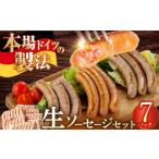 生ソーセージ49本 ウインナー ソーセージ