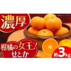 せとか約3kg 長崎せとか