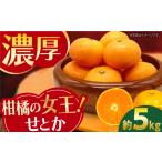 せとか約5kg 長崎せとか