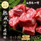 熟成めす 飛騨牛 山勇牛 煮込み用 カレー シチュー