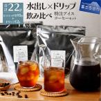 コーヒー フレスカ特注 特注アイスコーヒー 22個