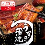 うなぎ 紀州備長炭 2尾