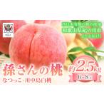 ふるさと納税 【先行予約】桃 もも 孫さんの桃(なつっこ・川中島白桃)約2.5kg(6~8玉) イクス産業《7月上旬-8月中旬頃より出荷予定》 和歌山.. 和歌山県紀の川市