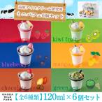 高原アイスクリーム研究所 ミニパフェ 6個セット