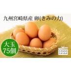 fu.... налог Kyushu производство прямая поставка от производителя Tama .[... сила (chikala)] L размер. большой шар яйцо 75 шт TF0406-P00035 Miyazaki префектура высота . блок 